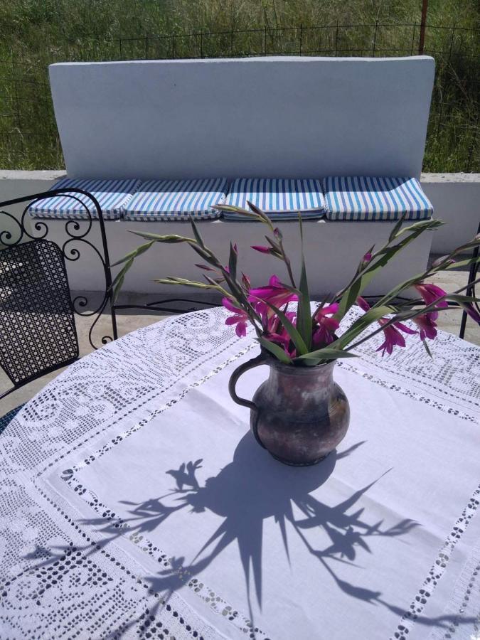 Villa Agrampeli Limenaria  Esterno foto